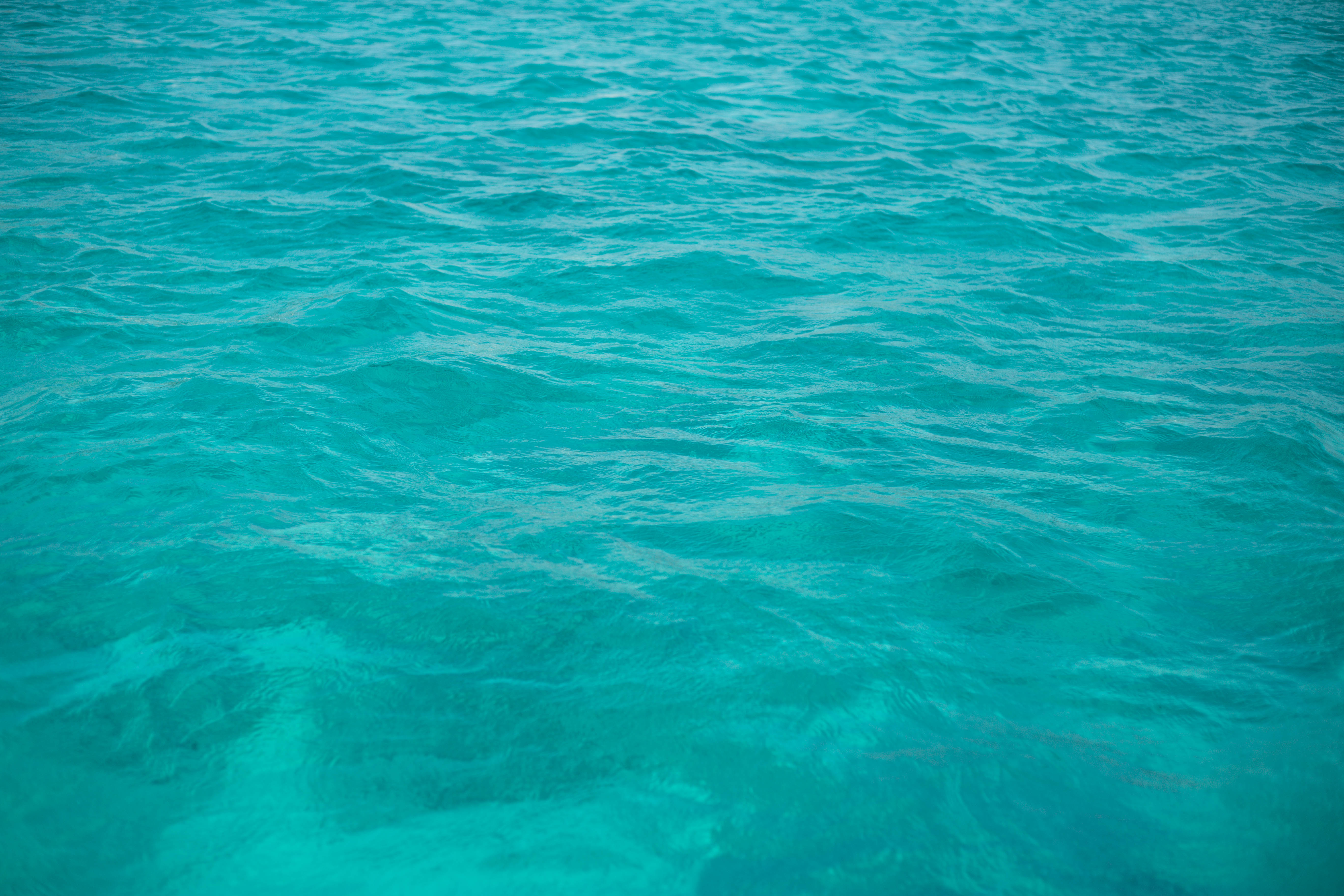 Mer turquoise Bimini Bahamas